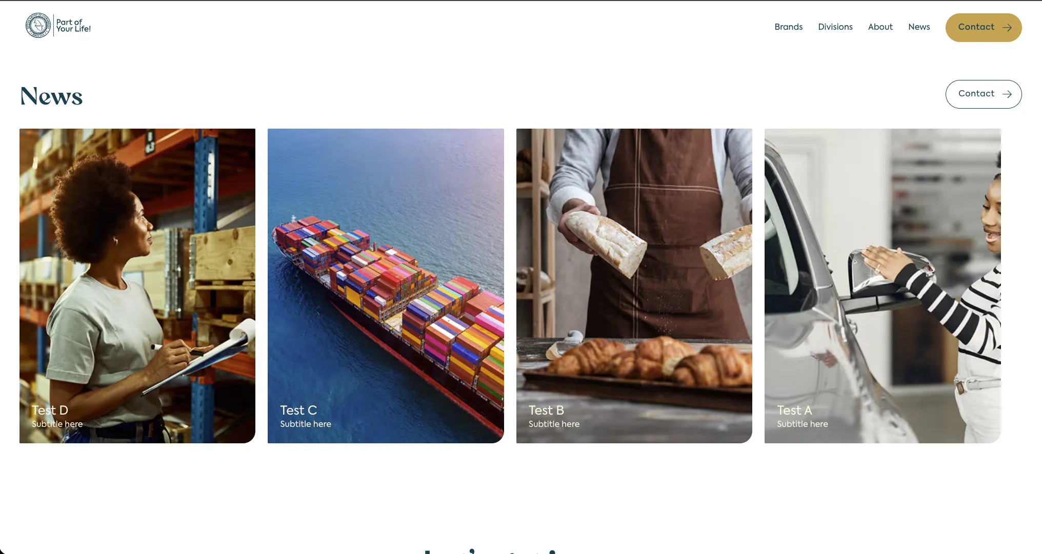 Rudisa International: Nieuwe bedrijfswebsite - 1